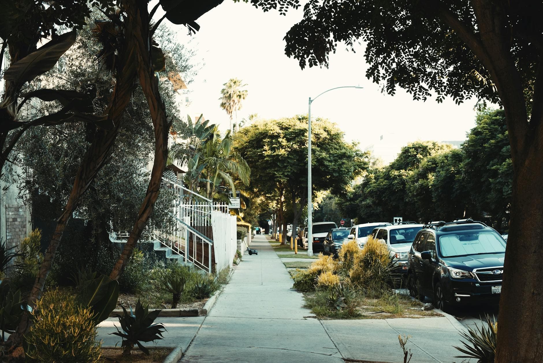 Scenic street view in Los Angeles, California with lush trees, parked cars, and sidewalk charm.